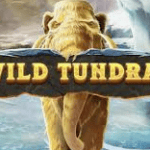 slot gacor Wild Tundra