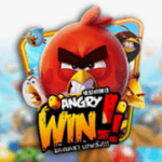 slot gacor Angry Win